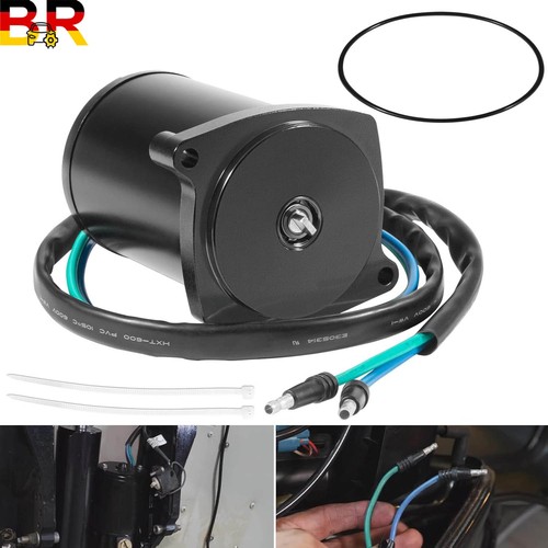 Motore inclinabile trim - motore,